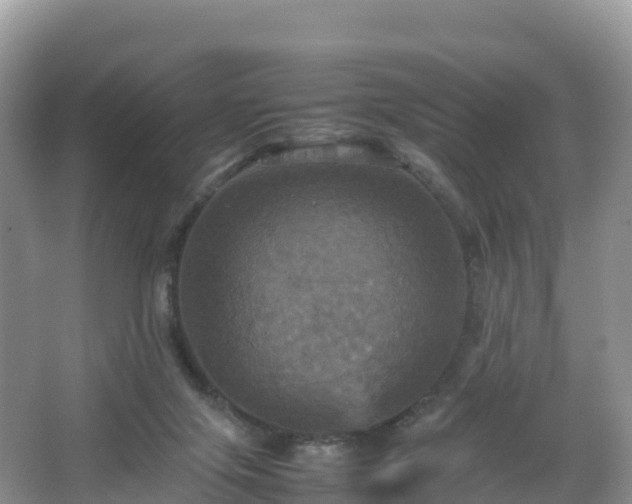 X0000066540071200603241422