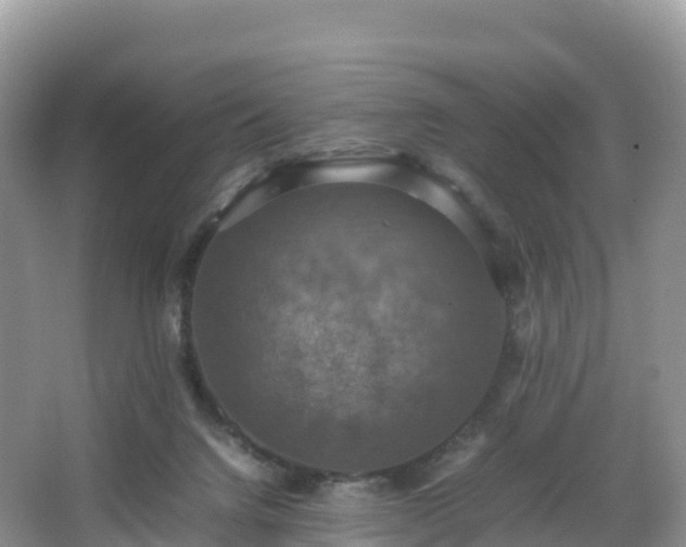 X0000066540072200603241422