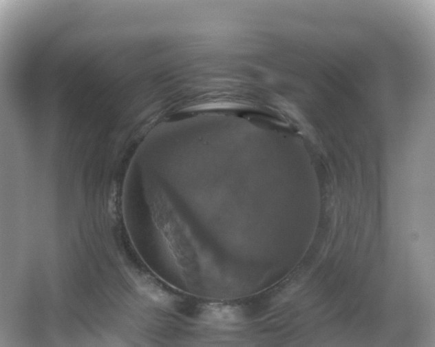 X0000066540073200603241422