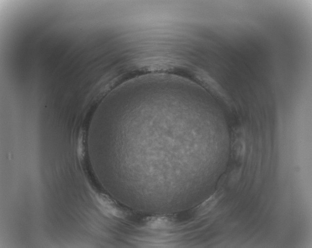 X0000066540074200603241422