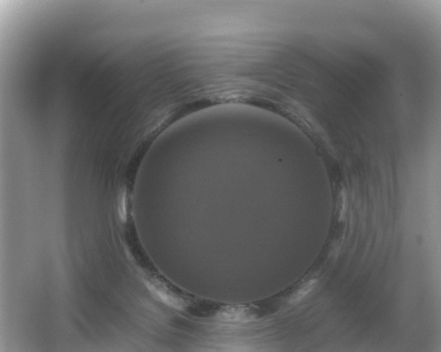 X0000066540076200603241422