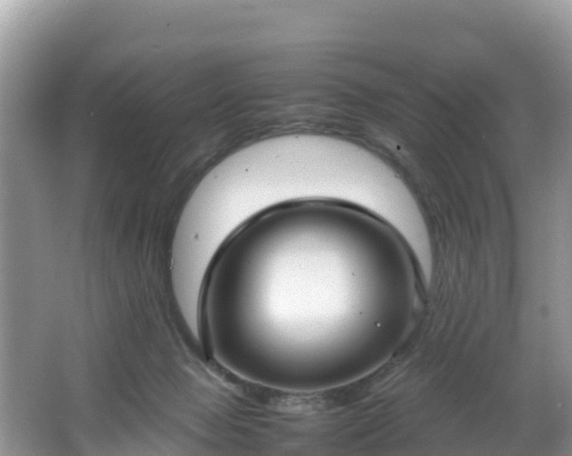 X0000066540077200603241422