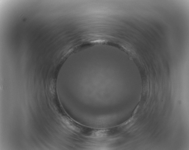 X0000066540078200603241422