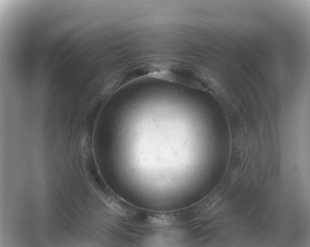 X0000066540079200603241422