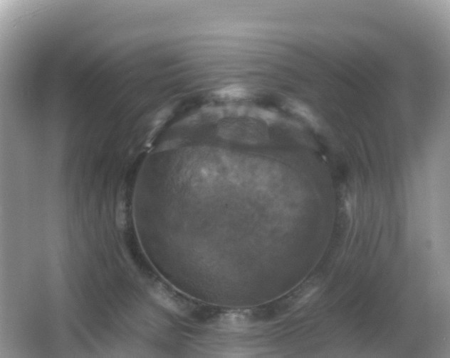 X0000066540080200603241422