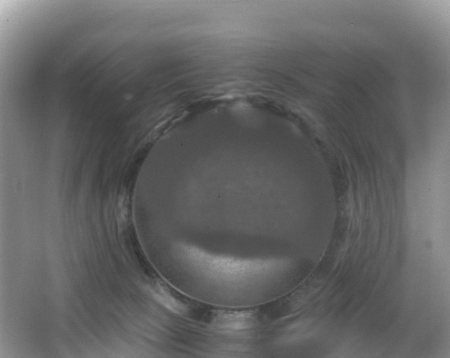 X0000066540081200603241422