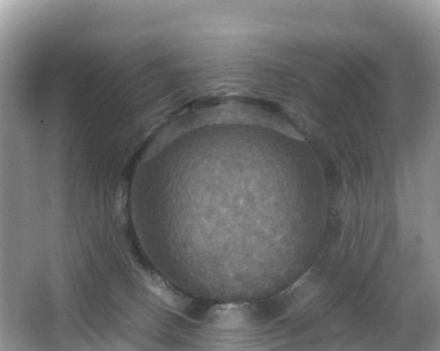 X0000066540082200603241422