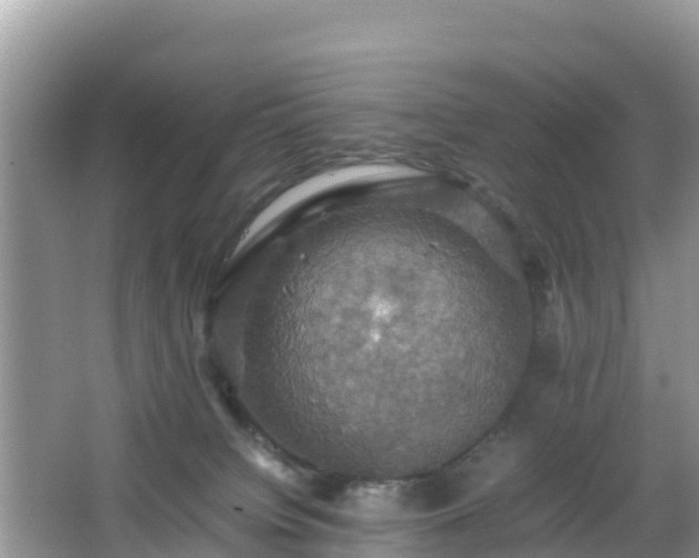 X0000066540084200603241422