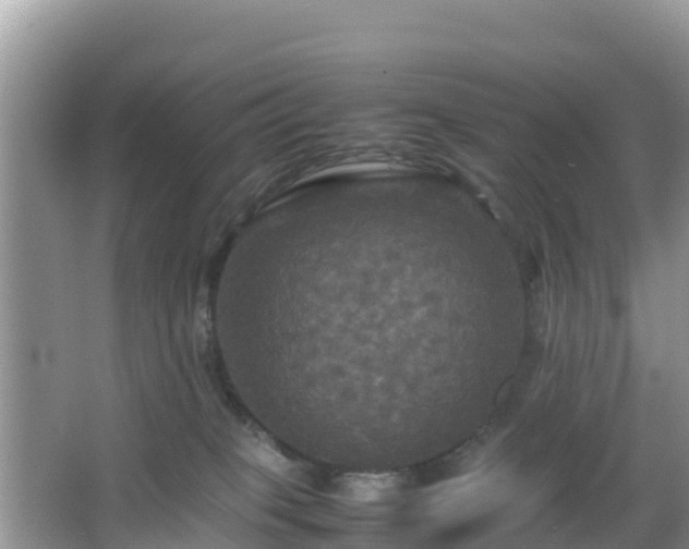 X0000066540085200603241422