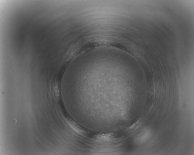 X0000066540086200603241422