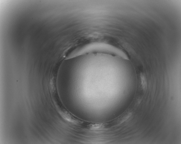 X0000066540088200603241422