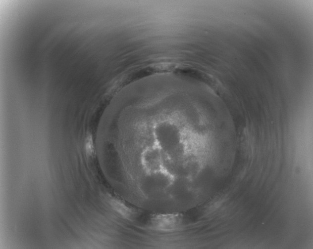 X0000066540089200603241422