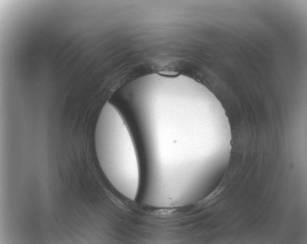 X0000066540090200603241422