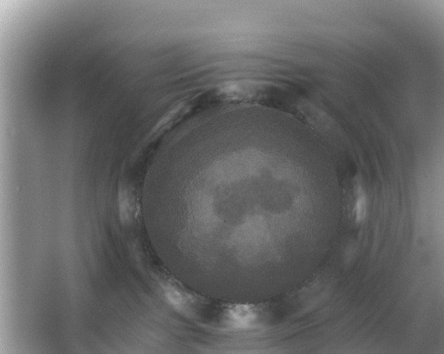 X0000066540091200603241422