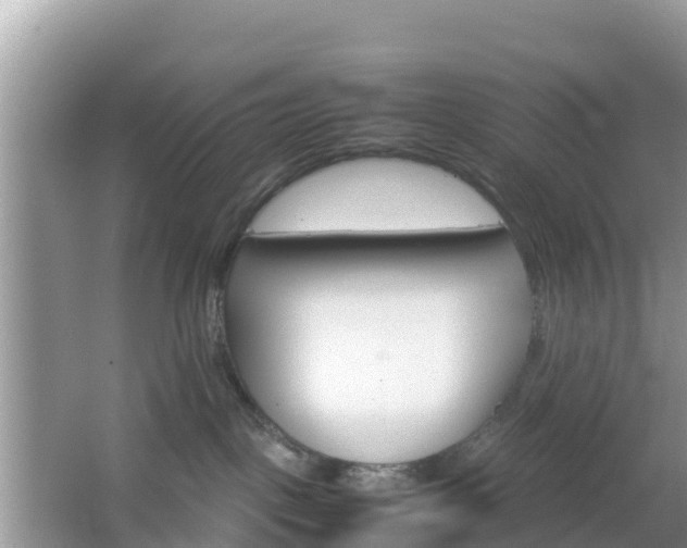 X0000066540093200603241422