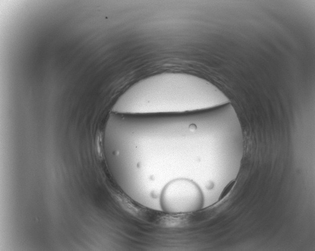 X0000066540094200603241422