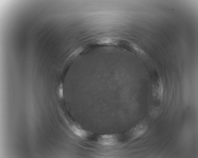 X0000066540095200603241422