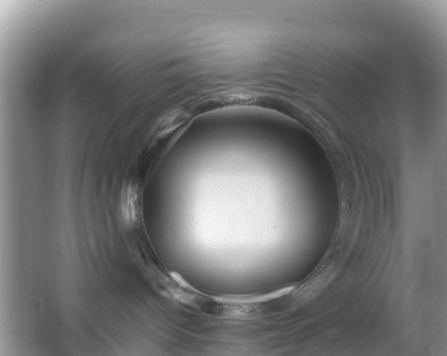 X0000066540096200603241422