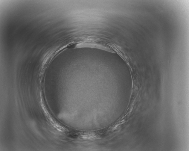 X0000066540097200603241422