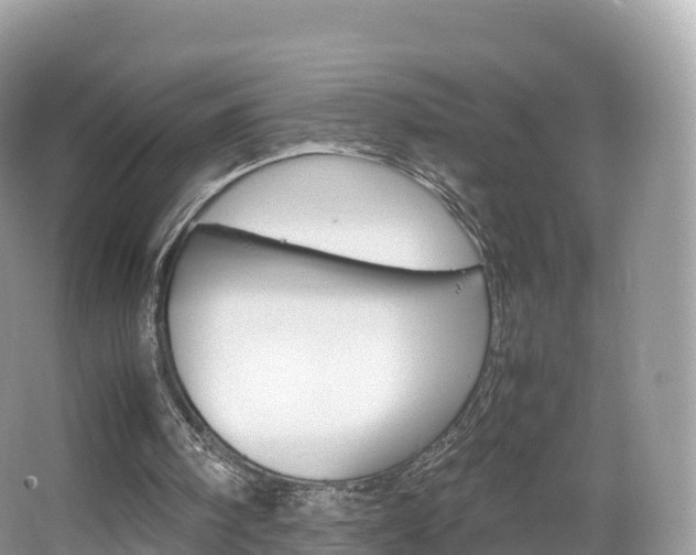 X0000066540098200603241422