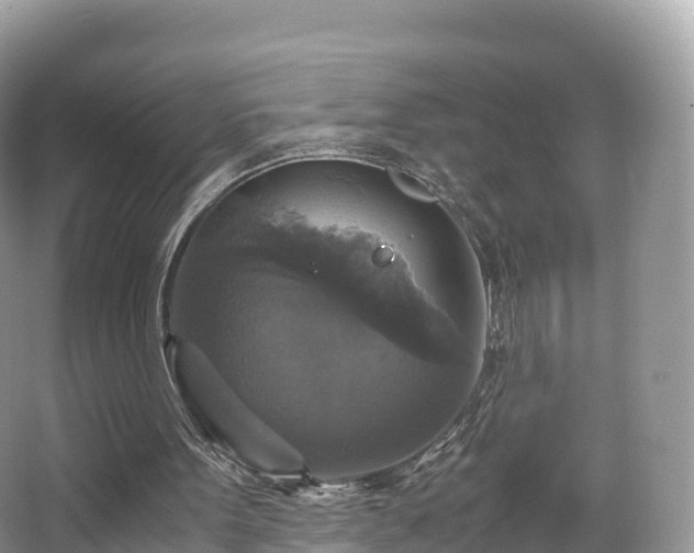 X0000066540099200603241422