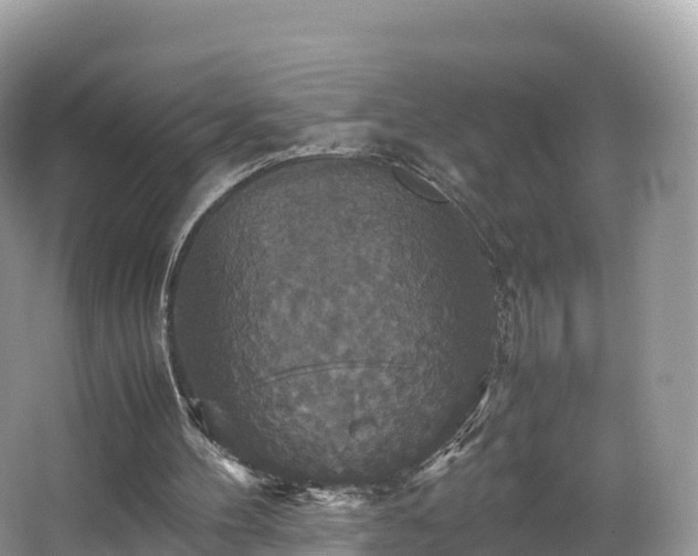 X0000066540100200603241422