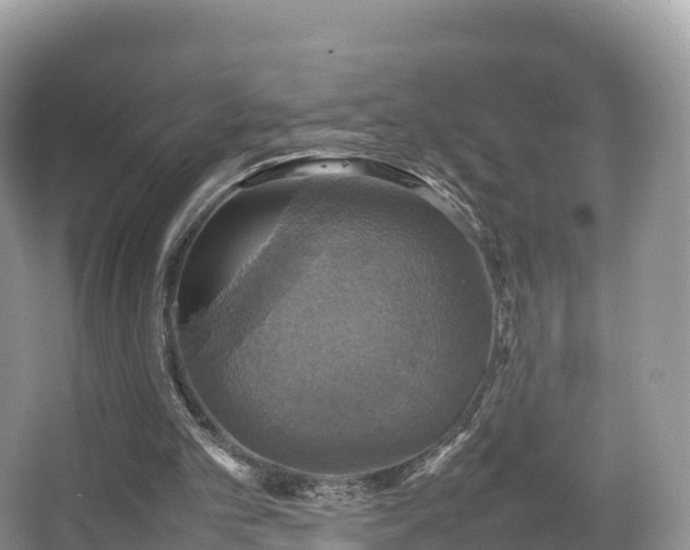 X0000066540101200603241422