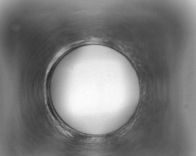 X0000066540102200603241421