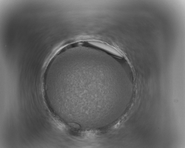 X0000066540103200603241421