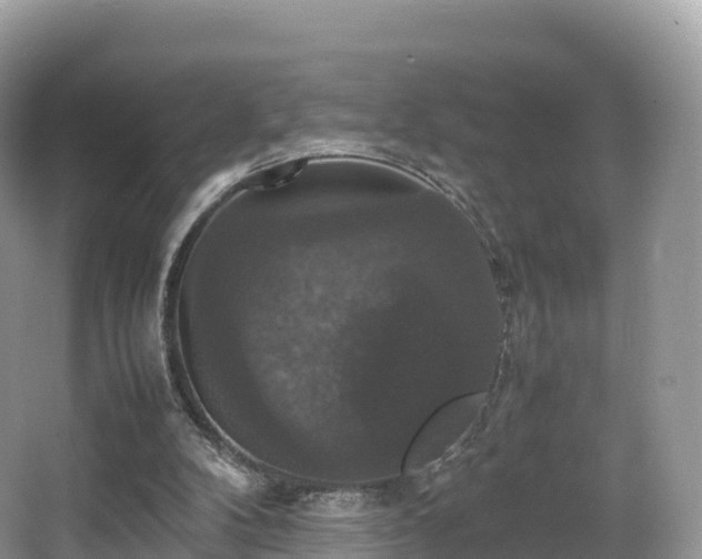 X0000066540104200603241421