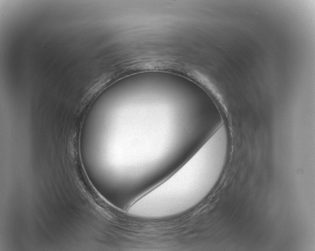 X0000066540105200603241421