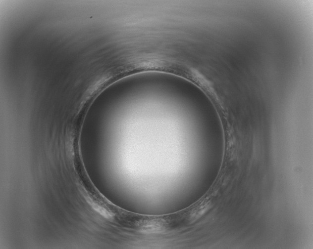 X0000066540106200603241421