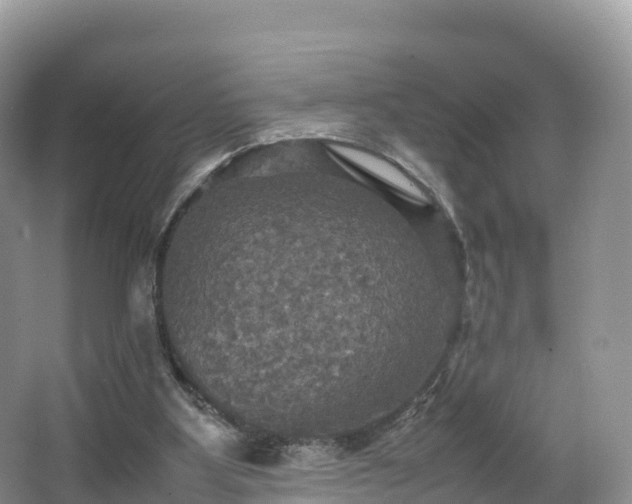 X0000066540107200603241421