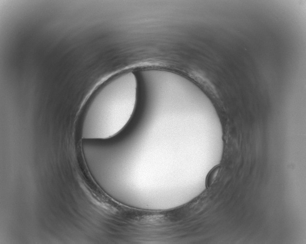 X0000066540108200603241421