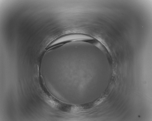 X0000066540109200603241421