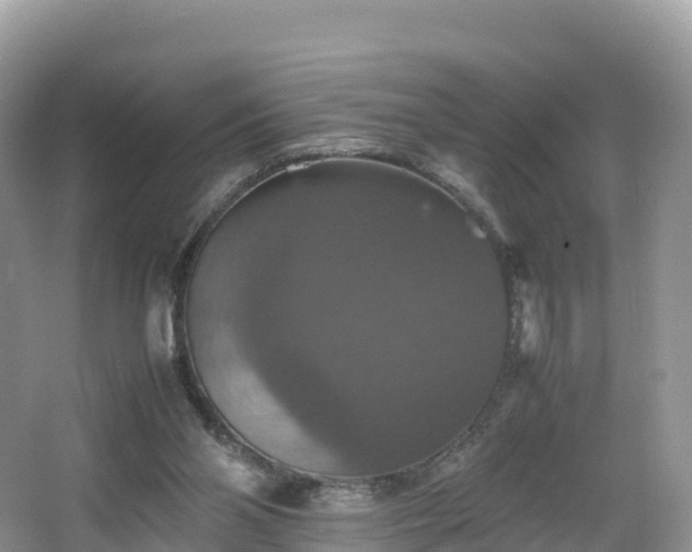 X0000066540110200603241421