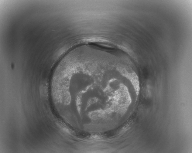 X0000066540111200603241421