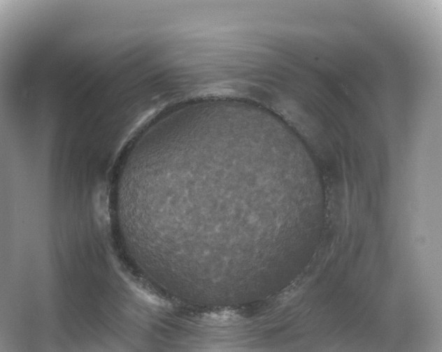 X0000066540112200603241421