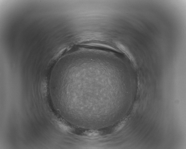 X0000066540113200603241421