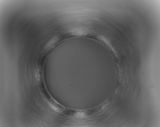 X0000066540114200603241421