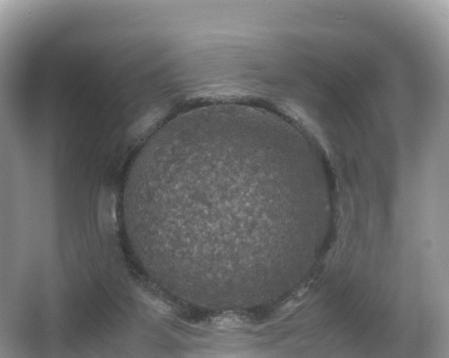 X0000066540115200603241421