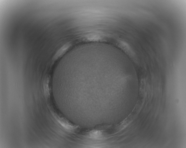 X0000066540116200603241421