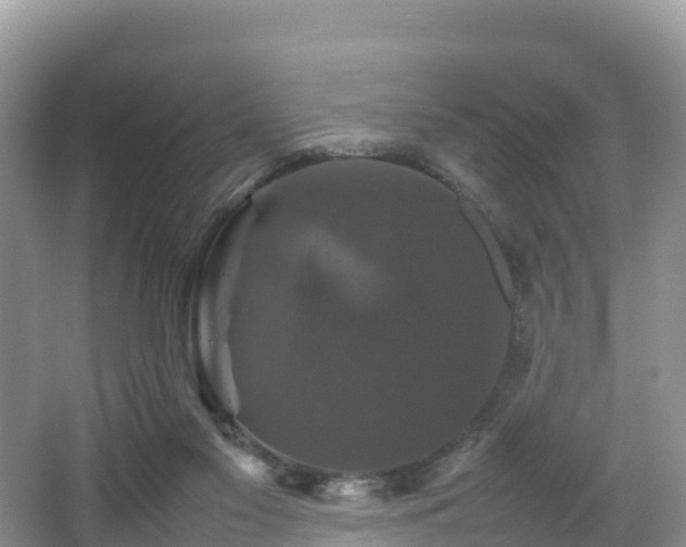 X0000066540117200603241421