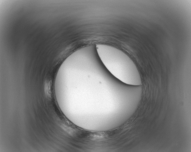 X0000066540118200603241421