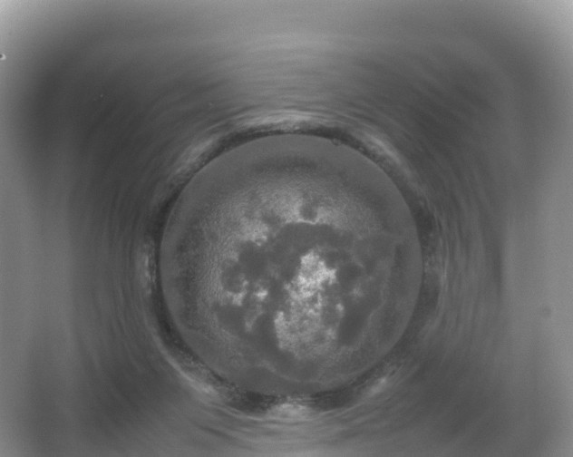 X0000066540119200603241421