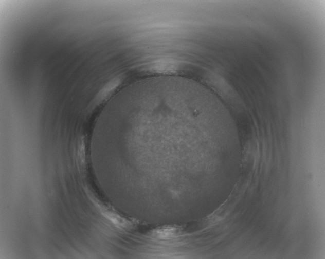 X0000066540120200603241421