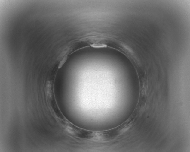 X0000066540121200603241421