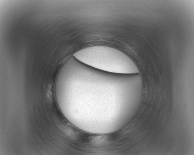 X0000066540122200603241421