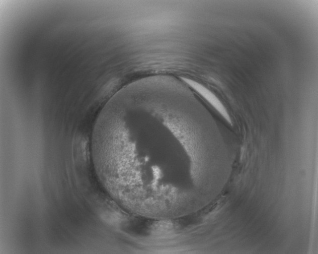 X0000066540123200603241421