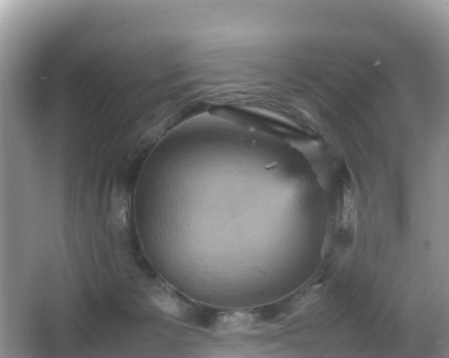 X0000066540125200603241421